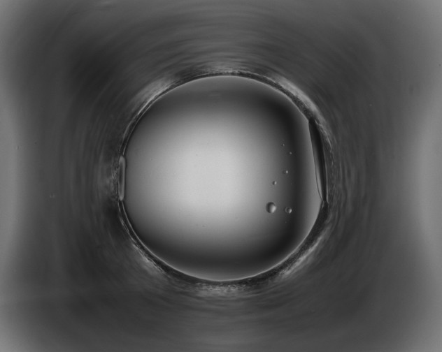 X0000086720801200704131043