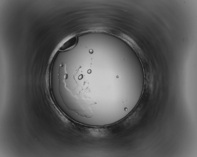 X0000086720804200704131043