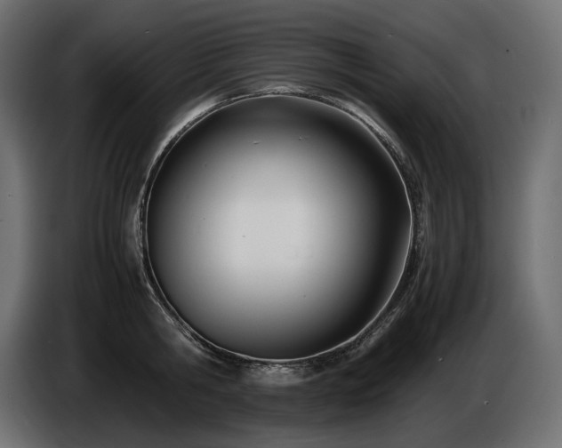 X0000086720806200704131043
