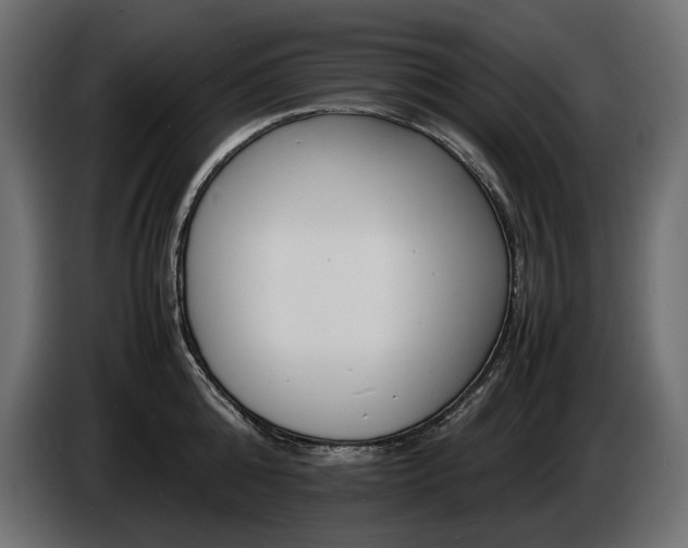 X0000086720808200704131043