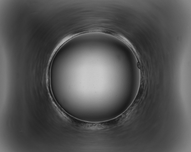X0000086720811200704131043