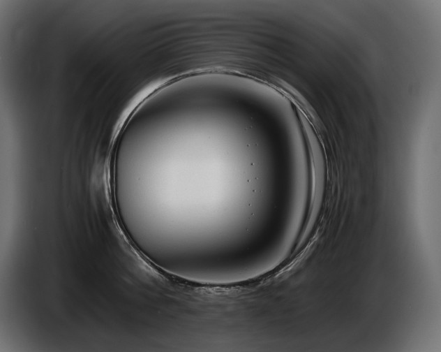 X0000086720812200704131043