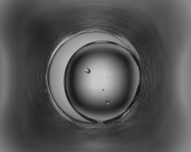 X0000086720813200704131043