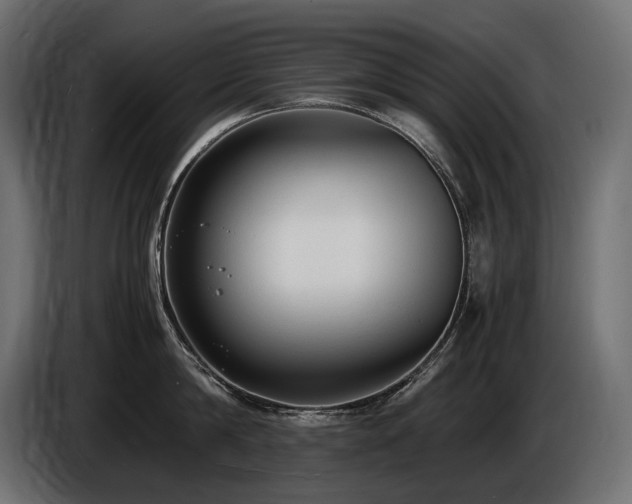 X0000086720814200704131043