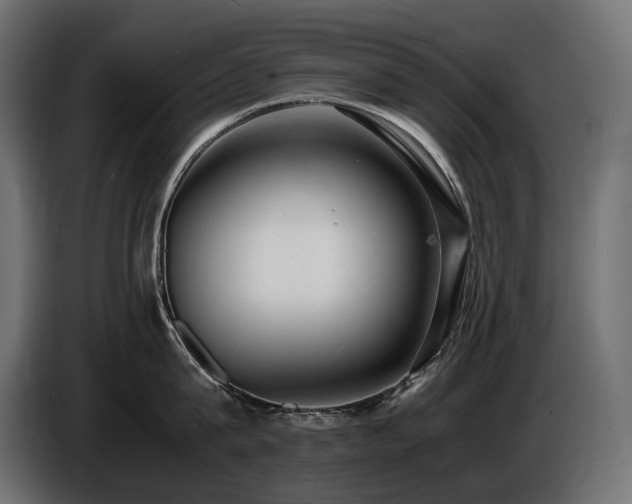 X0000086720815200704131043