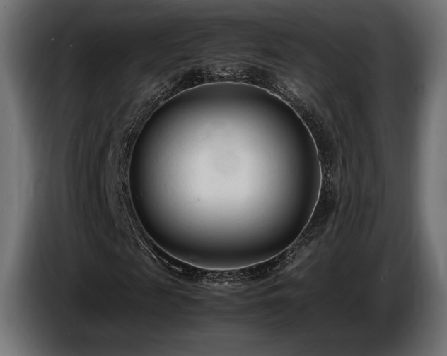 X0000086720817200704131042