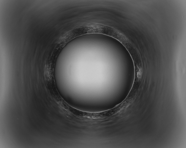 X0000086720819200704131042