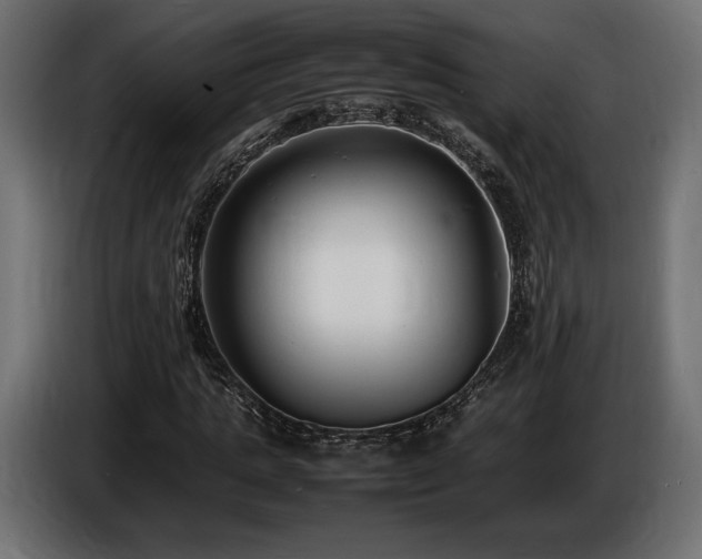 X0000086720821200704131042