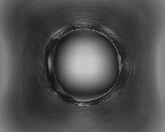 X0000086720822200704131042