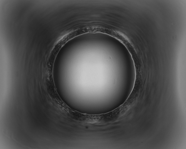 X0000086720823200704131042