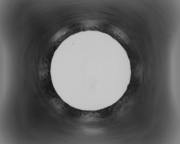 X0000086720824200704131042