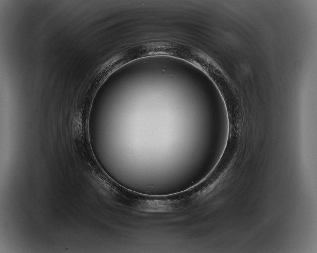 X0000086720825200704131042