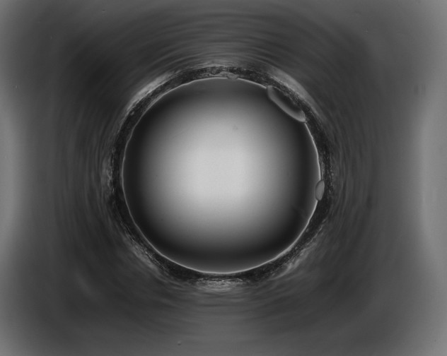 X0000086720826200704131042