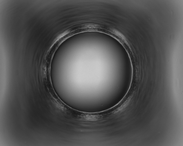 X0000086720827200704131042