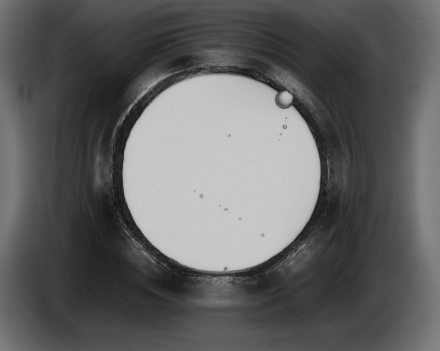 X0000086720828200704131042