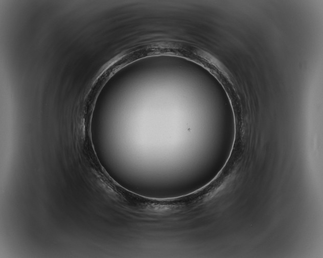 X0000086720829200704131042