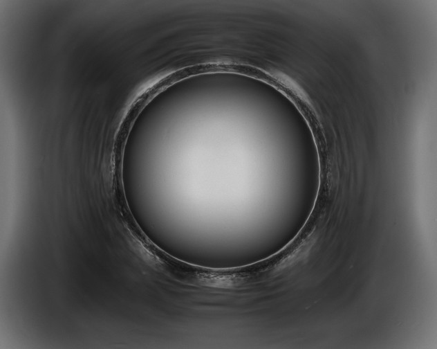 X0000086720831200704131042