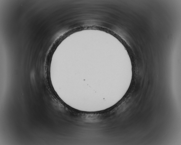 X0000086720832200704131042