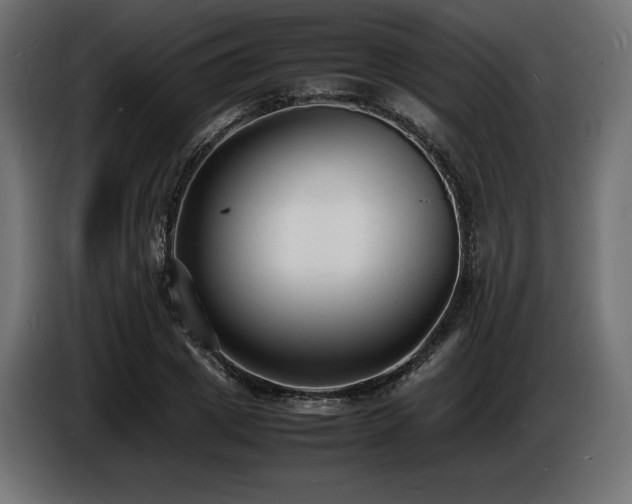 X0000086720833200704131042