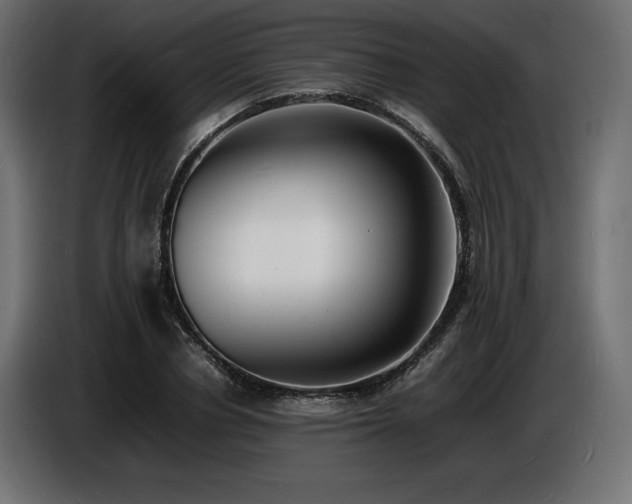 X0000086720834200704131042