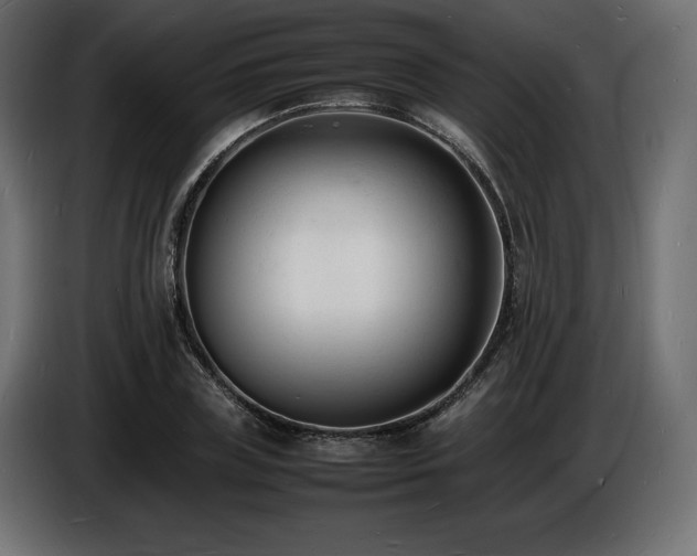 X0000086720835200704131042