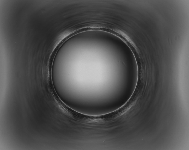 X0000086720837200704131042