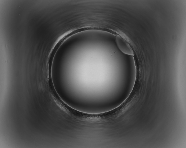 X0000086720838200704131042