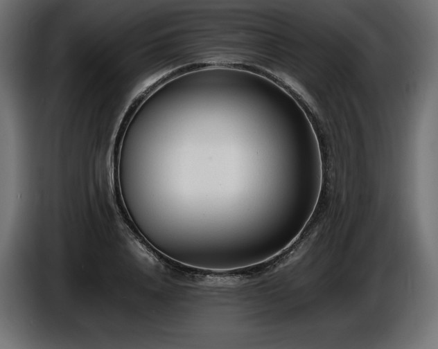X0000086720840200704131042