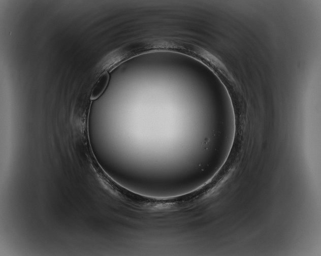 X0000086720841200704131042