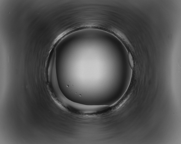 X0000086720842200704131042
