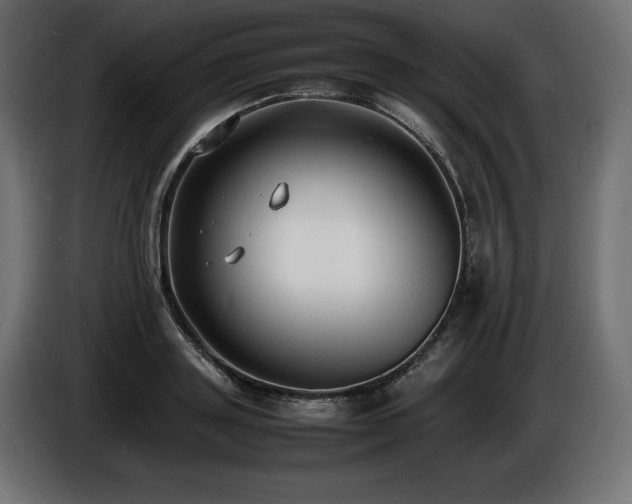 X0000086720843200704131042