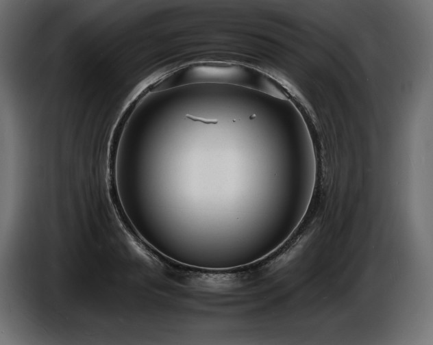 X0000086720845200704131042