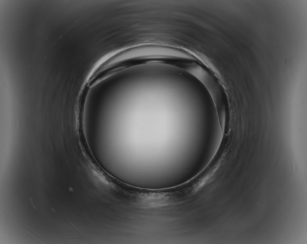 X0000086720846200704131042