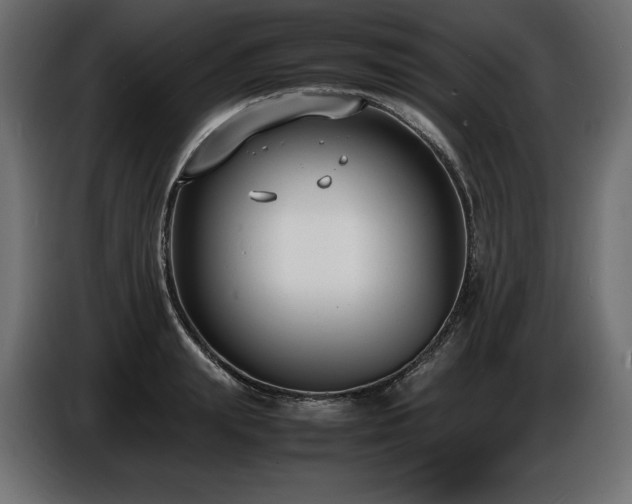 X0000086720847200704131042