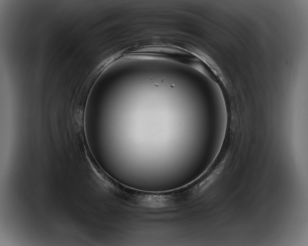 X0000086720849200704131042