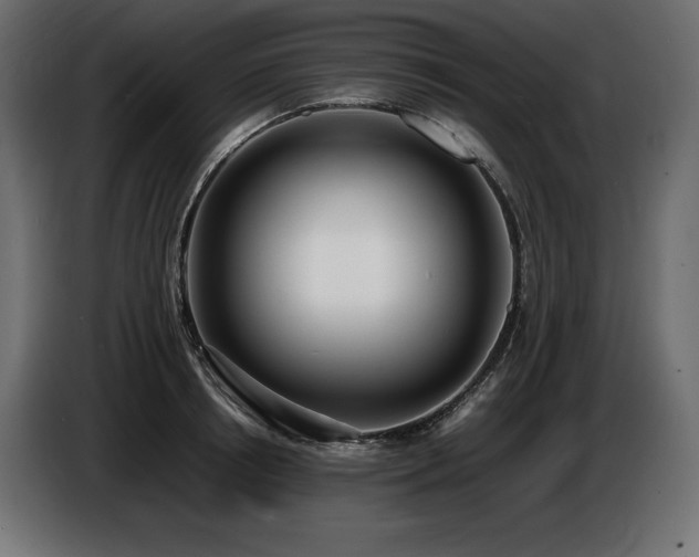 X0000086720850200704131042