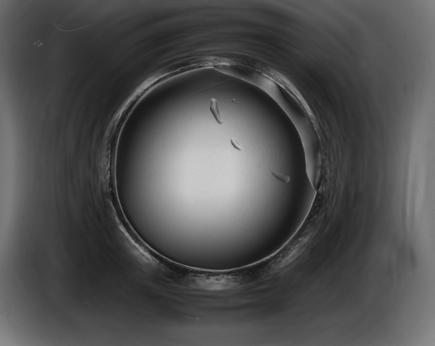 X0000086720851200704131042