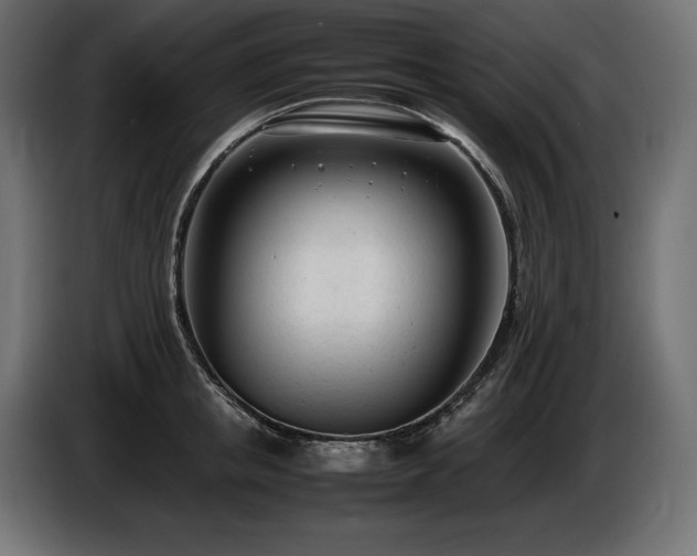 X0000086720853200704131042