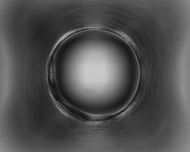X0000086720854200704131042