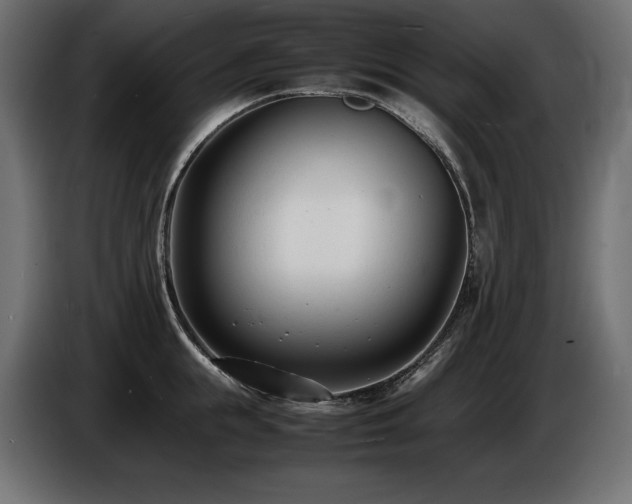 X0000086720855200704131043