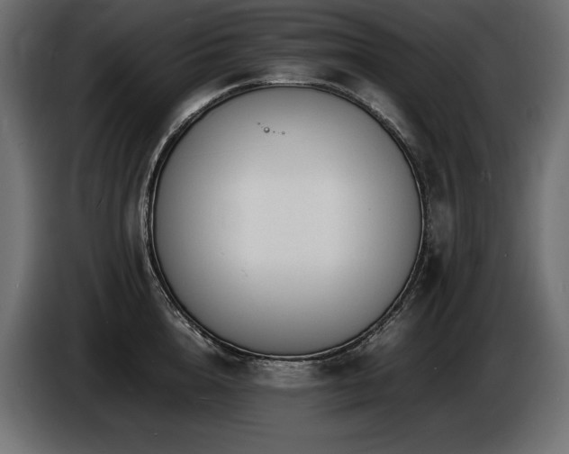 X0000086720856200704131043