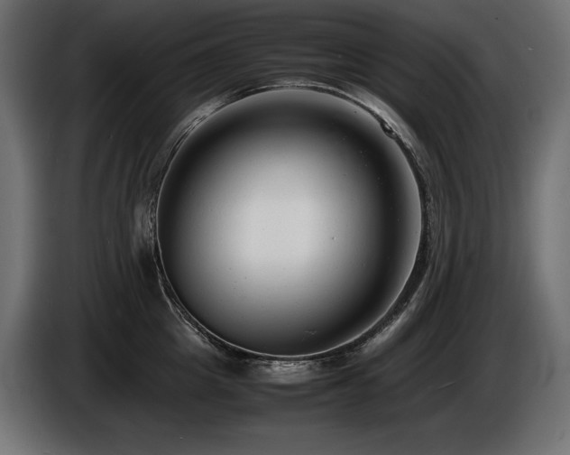 X0000086720857200704131043