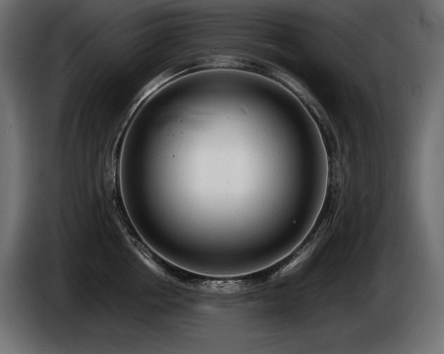 X0000086720858200704131043