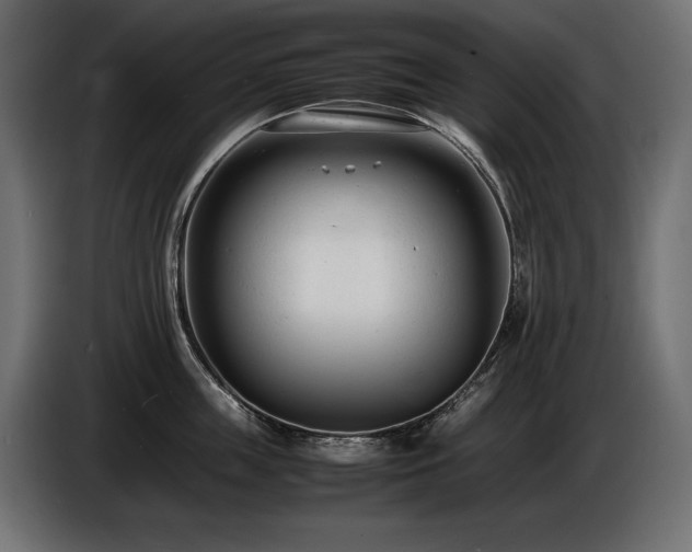 X0000086720859200704131043
