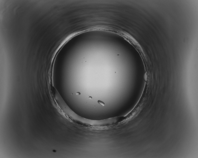 X0000086720860200704131043