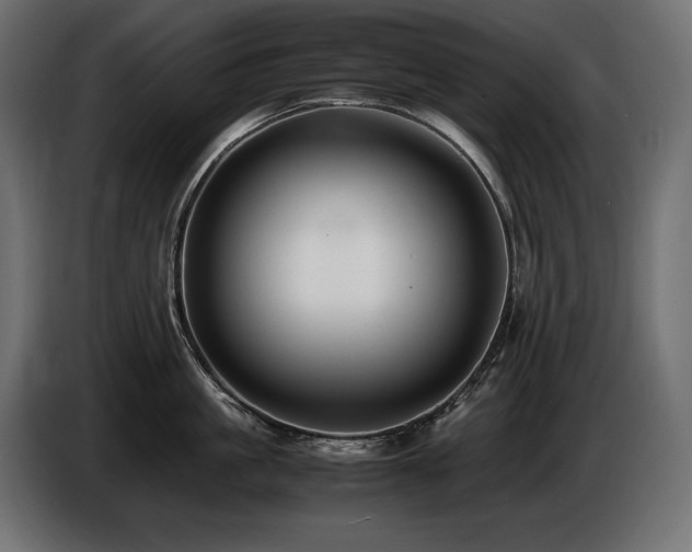 X0000086720861200704131043