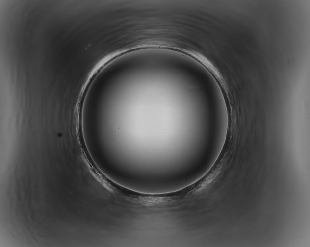 X0000086720862200704131043