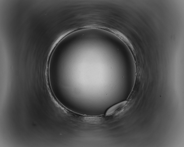 X0000086720863200704131043