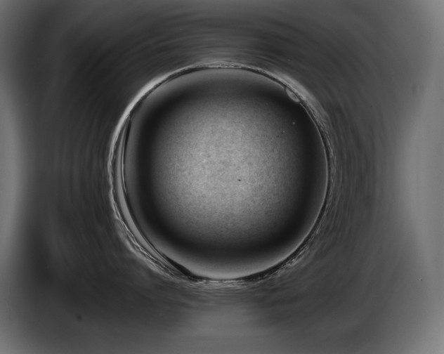 X0000086720864200704131043