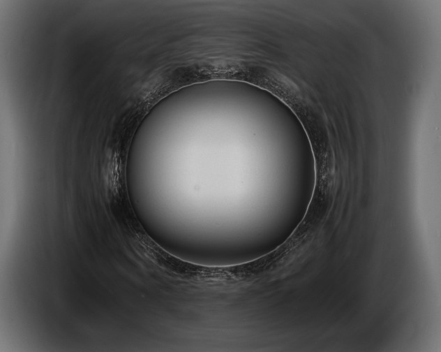 X0000086720866200704131042